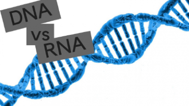 DNA vs. RNA – Which Holds the Key to Early Disease Diagnosis?